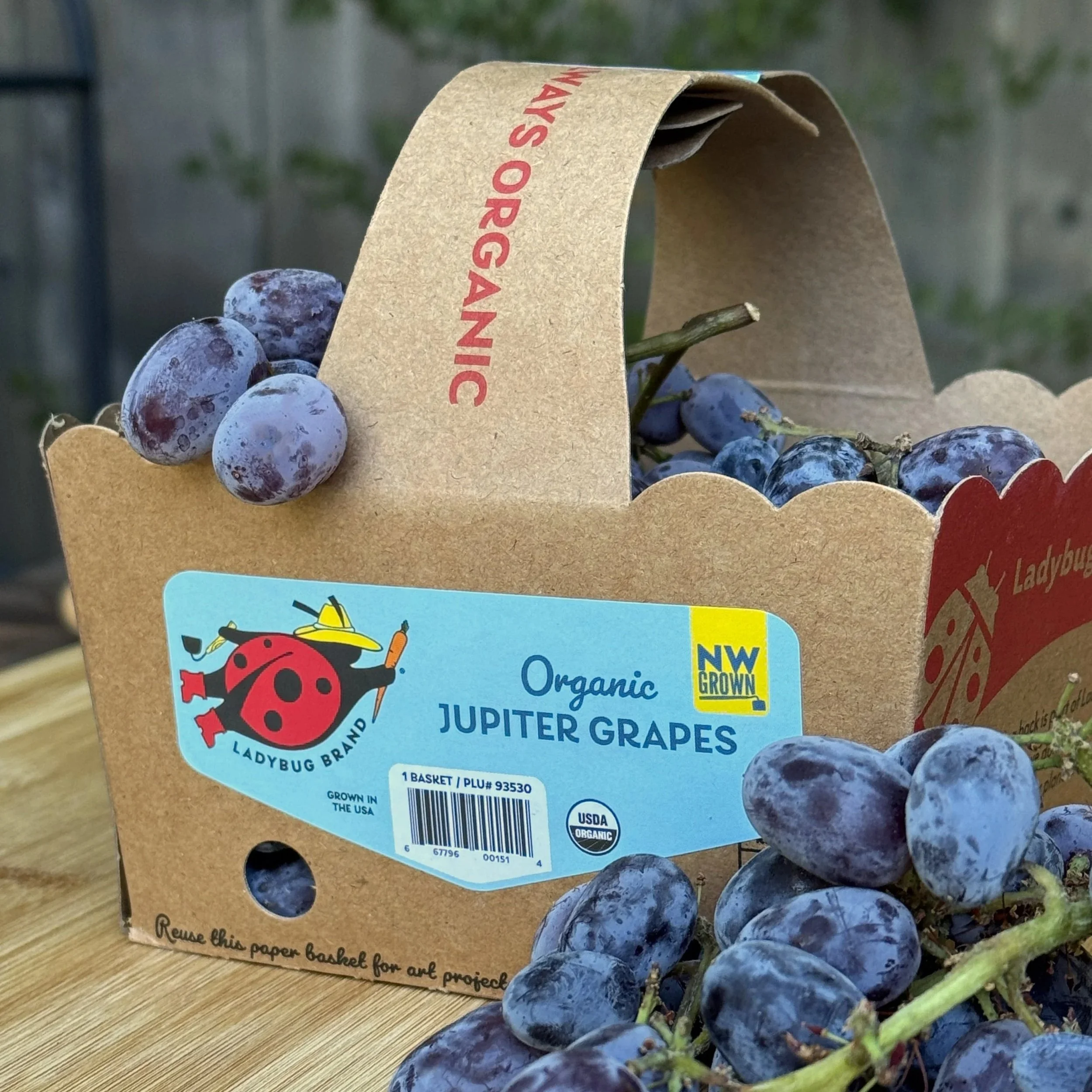 Jupiter Grapes — Ladybug Produce
